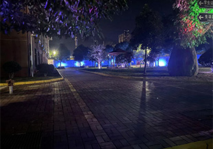 校园一角夜景