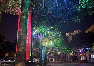 校园一角夜景